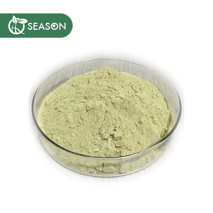 Quercetin dihydrate bột